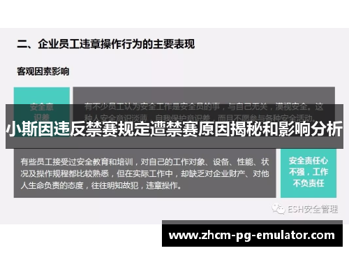 小斯因违反禁赛规定遭禁赛原因揭秘和影响分析