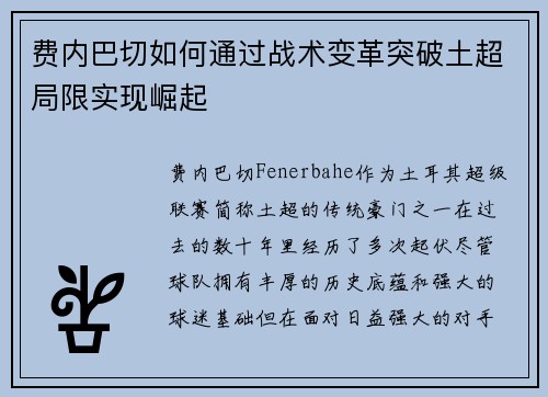 费内巴切如何通过战术变革突破土超局限实现崛起