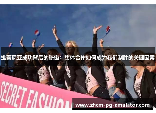 维蒂尼亚成功背后的秘密：集体合作如何成为我们制胜的关键因素